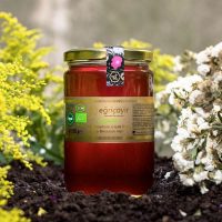 Buy Organic Carob Blossom Honey Organic Carob Blossom Honey