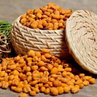 Buy Roasted and Salted Corn Roasted and Salted Corn