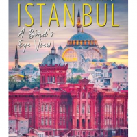 Buy İstanbul A Birds Eye View İstanbul A Birds Eye View