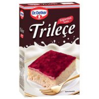 Buy Trileçe with Blackberry Sauce Trileçe with Blackberry Sauce